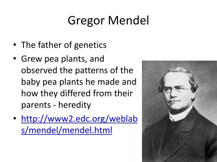 gregor mendel