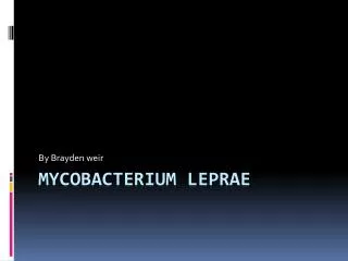 Mycobacterium leprae