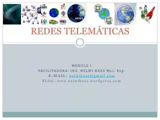 redes telem ticas