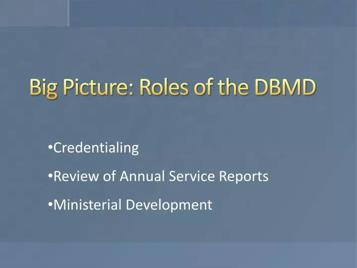 big picture roles of the dbmd