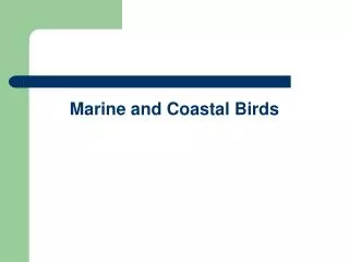 Marine and Coastal Birds