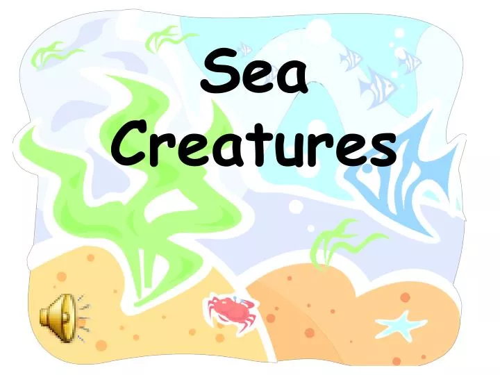 sea creatures