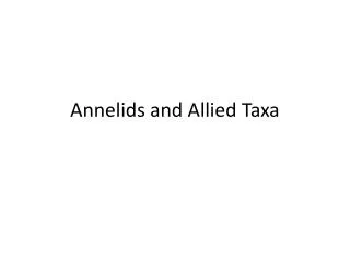Annelids and Allied Taxa