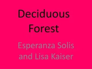 Deciduous Forest