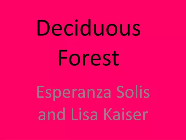 deciduous forest