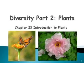 Diversity Part 2: Plants