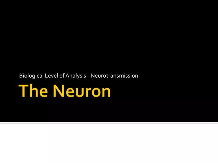 biological level of analysis neurotransmission
