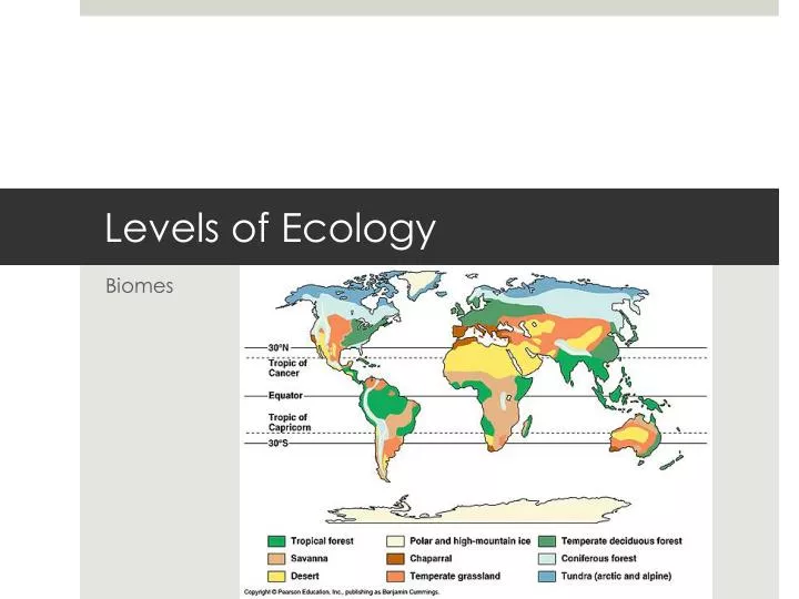 levels of ecology