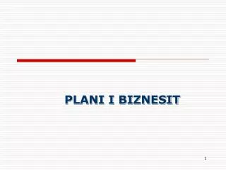 PLANI I BIZNESIT