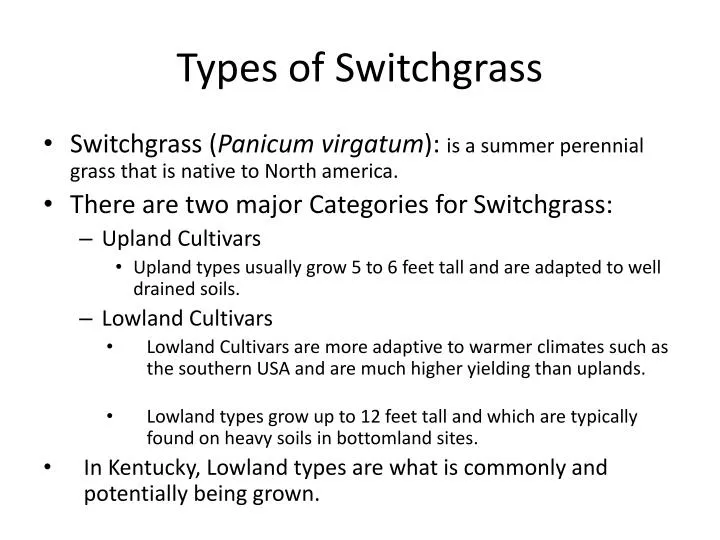 types of switchgrass