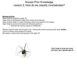 Access Prior Knowledge Lesson 3: How do we classify invertebrates?