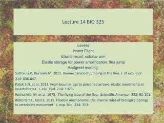 Lecture 14 BIO 325