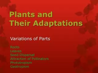 Plants and Their Adaptations