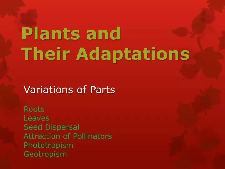 plants and their adaptations