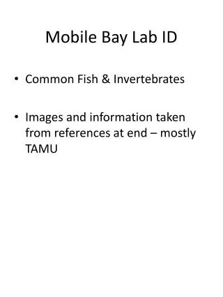 Mobile Bay Lab ID