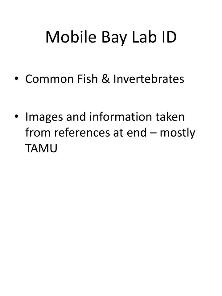 mobile bay lab id