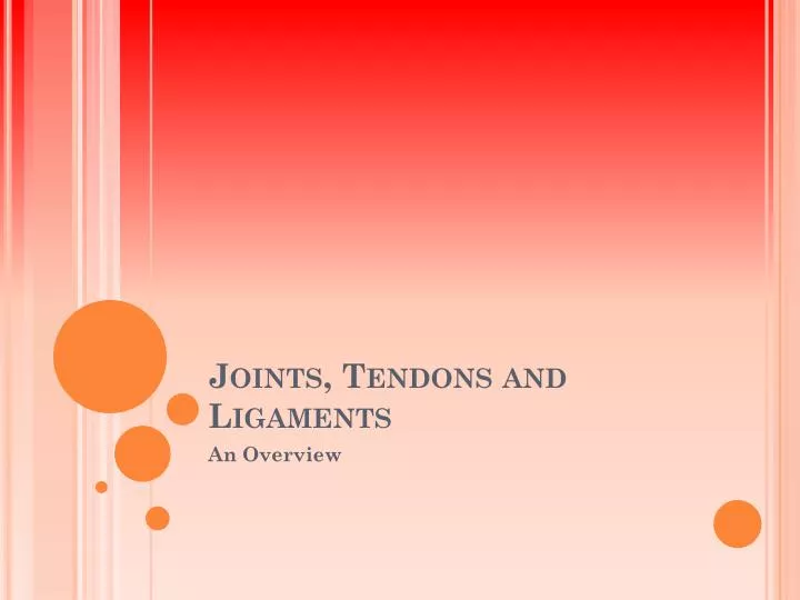 joints tendons and ligaments