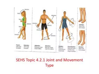 SEHS Topic 4.2.1 Joint and Movement Type