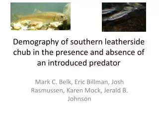 Demography of southern leatherside chub in the presence and absence of an introduced predator