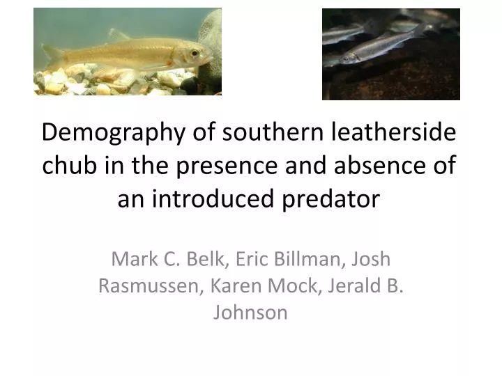 demography of southern leatherside chub in the presence and absence of an introduced predator