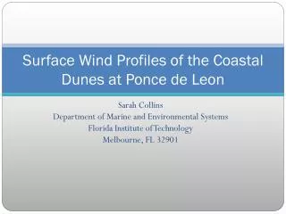 Surface Wind Profiles of the Coastal Dunes at Ponce de Leon