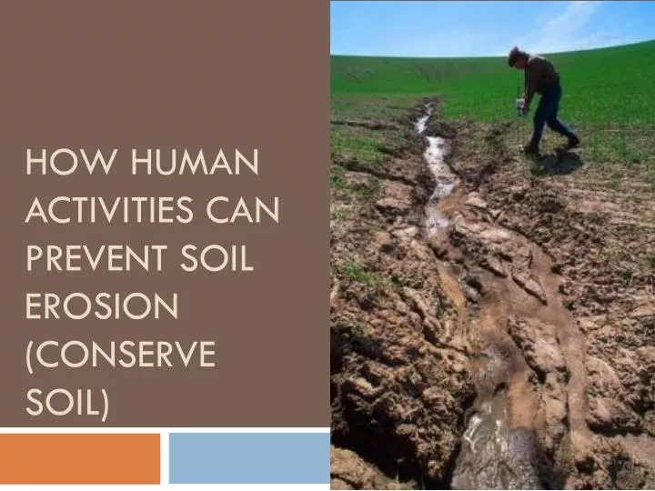 how human activities can prevent soil erosion conserve soil
