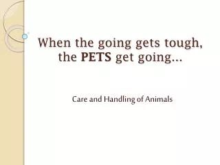 When the going gets tough, the PETS get going...
