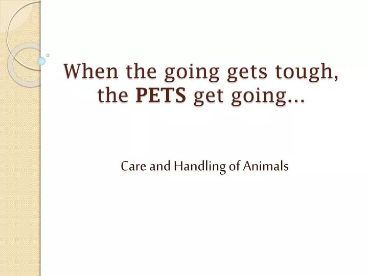when the going gets tough the pets get going