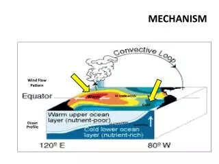 mechanism