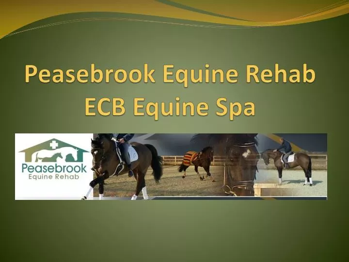 peasebrook equine rehab ecb equine spa