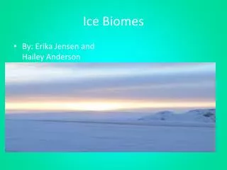 Ice Biomes