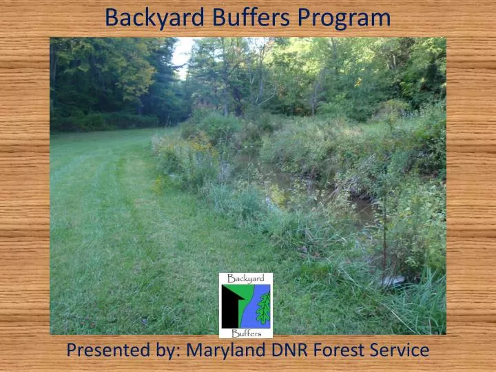 backyard buffers program