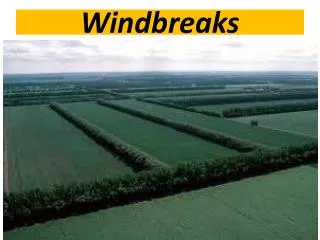 Windbreaks