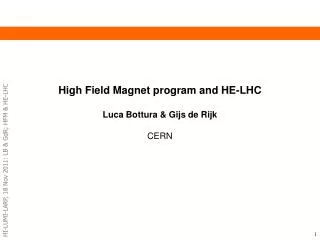High Field Magnet program and HE- LHC Luca Bottura &amp; Gijs de Rijk CERN