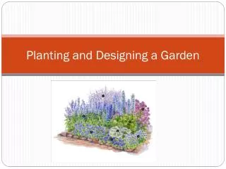 Planting and Designing a Garden