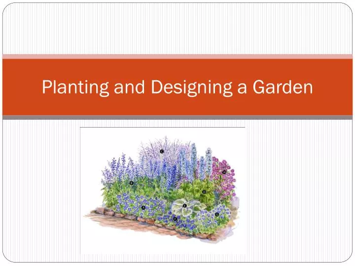 planting and designing a garden