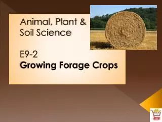 Animal, Plant &amp; Soil Science E9-2 Growing Forage Crops