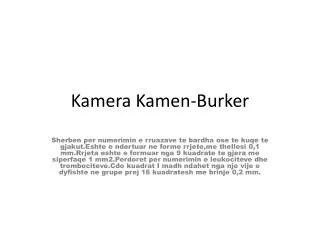 Kamera Kamen-Burker