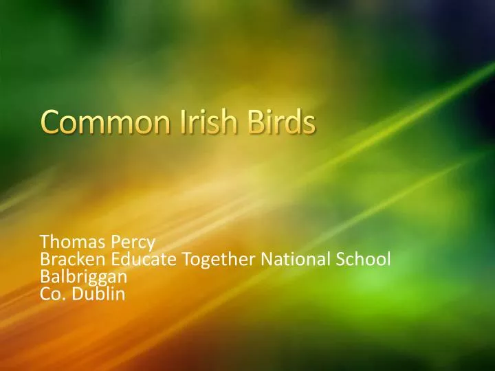 common irish birds