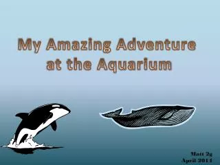 My Amazing Adventure at the Aquarium