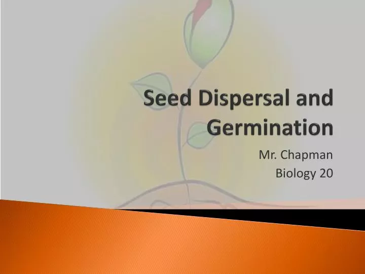 seed dispersal and germination