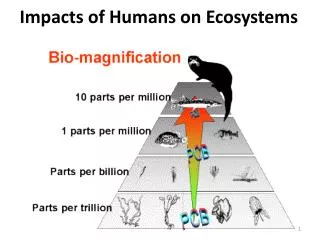 Impacts of Humans on Ecosystems