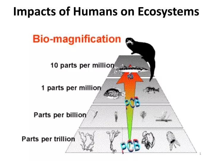 impacts of humans on ecosystems