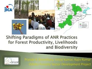 Shifting Paradigms of ANR Practices for Forest Productivity, Livelihoods and Biodiversity