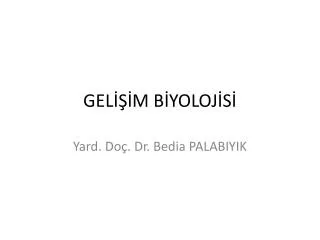 gel m b yoloj s