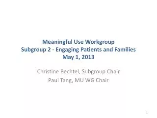 Meaningful Use Workgroup Subgroup 2 - Engaging Patients and Families May 1, 2013