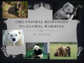 Organismal Responses to Global Warming