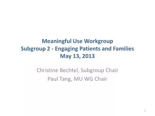 Meaningful Use Workgroup Subgroup 2 - Engaging Patients and Families May 13, 2013