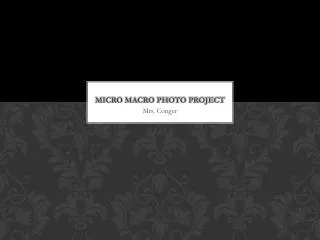 Micro Macro Photo Project