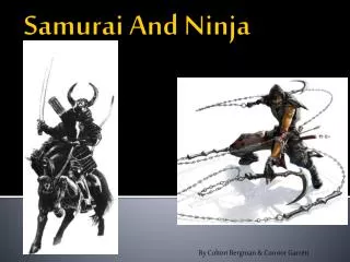 Samurai A nd Ninja